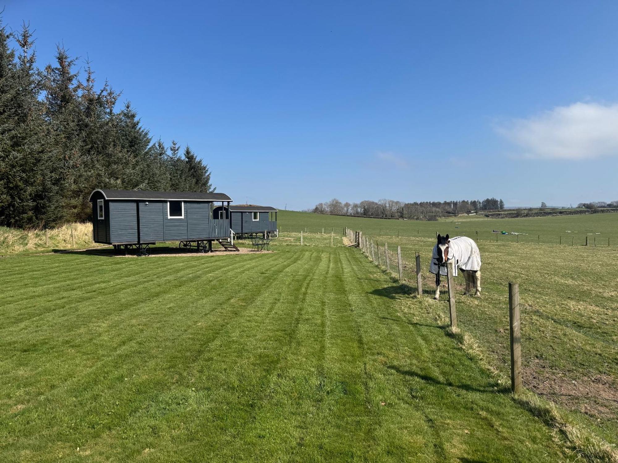 Roslin Glamping Hotel ภายนอก รูปภาพ